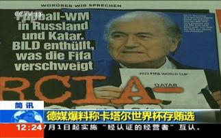 卡塔尔世界杯爆料视频,赛场幕后惊天内幕大揭秘  第3张